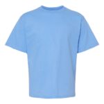 Carolina Blue