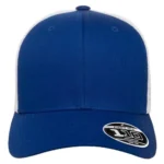 Royal/ White