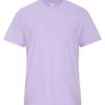 Orchid