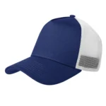 Royal/White