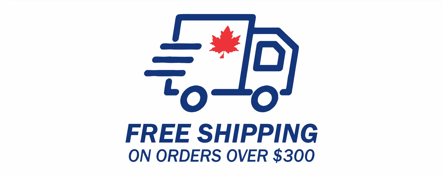 Free shipping promotion